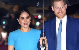 Meghan Markle bị khán giả Netflix từ chối, cùng chồng nhận chỉ trích "không biết xấu hổ" khi làm phim về Công nương Diana