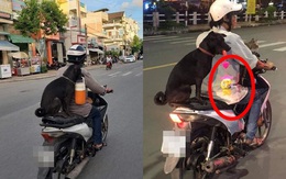 Chú chó "hot" trên MXH: Sáng mang cặp lồng tối mang đèn đi chơi, ngồi xe máy dạo quanh phố