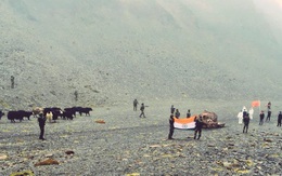 Giữa lúc căng thẳng leo thang, Ấn Độ trao trả Trung Quốc 13 con bò 'vượt biên'