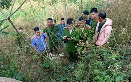 Đi săn thú rừng, người đàn ông bắn chết người