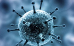 Các nhà khoa học Nga đã tìm ra cách để ngăn chặn Covid-19