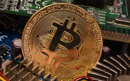 Bitcoin liên tục lập đỉnh, vì sao nhà đầu tư mới vẫn đổ xô mua?