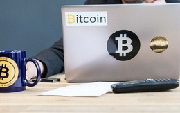 Bitcoin lao dốc thảm, đây là từ khóa mà người chơi coin đổ xô tìm kiếm trên Google để tìm ra nguyên nhân