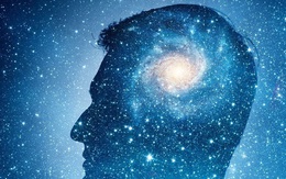 Bộ não của chúng ta và vũ trụ giống nhau một cách đáng ngạc nhiên