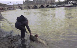 Video: Bắt được "quái vật hồ Loch Ness của sông Seine"