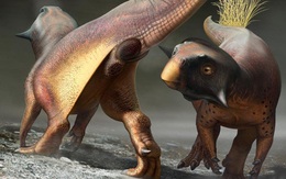 Cuối cùng thì giới cổ sinh vật học cũng đã tìm ra được 'cần tăng dân số' của khủng long