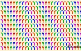 Thách thức thị giác 5 giây: Đố bạn tìm ra 3 chữ cái khác biệt trong "một rừng chữ Y" nhiều màu này