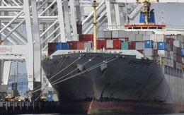 Các công ty vận tải biển từ chối chở nông sản Mỹ, mang container rỗng về Trung Quốc