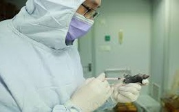 Giải mã gen 2 ca bệnh mắc mới COVID-19 tại Quảng Ninh và Hải Dương