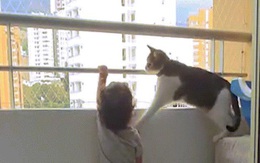 Video: Thấy đứa trẻ muốn trèo khỏi lan can tầng cao, chú mèo có hành động khó tin