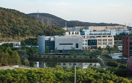 Chuyên gia WHO bắt đầu điều tra nguồn gốc COVID-19 từ phòng thí nghiệm và chợ hải sản