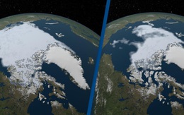 NASA công bố loạt bức ảnh 'gây sốc' về Trái Đất