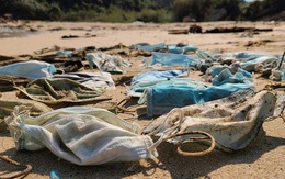 Hơn 1,5 tỷ chiếc khẩu trang y tế đã bị vứt xuống biển từ đầu đại dịch COVID-19, và chúng cần 450 năm nữa mới có thể phân hủy