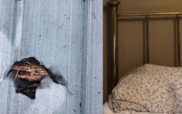 Người phụ nữ thoát chết thần kỳ dù thiên thạch đâm thủng mái nhà, rơi trúng gối