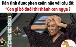 Câu đố đang hot trên MXH khiến dân tình xoắn não: "Con gì bỏ đuôi thành con ngựa?"