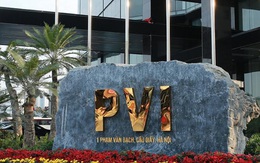 PVI vượt qua Bảo Việt, trở thành công ty có thị phần bảo hiểm phi nhân thọ lớn nhất