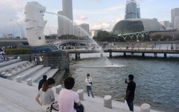 Singapore gồng mình chống Covid-19: Thay đổi chiến lược vẫn chưa đủ