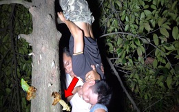 Đêm khuya, nhóm người soi đèn vào các thân cây để tìm kiếm: Kết quả bất ngờ!