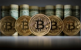 Bitcoin lập đỉnh mới trên 65.500 USD