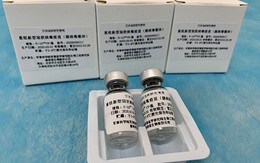 Vaccine dạng xông của CanSino được đánh giá hiệu quả trong ngừa COVID-19