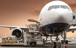 Các hãng bay "đóng băng", thậm chí Vietnam Airlines đã âm vốn nhưng một số công ty logistics hàng không vẫn sống khỏe lãi cao