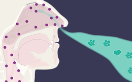 Chứng mất khứu giác, vị giác ở bệnh nhân COVID-19: Tự khỏi hay cần điều trị?