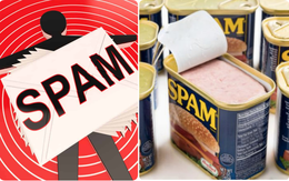 Đảm bảo bạn chưa biết từ "Spam" (thư rác) có gốc gác là một loại thịt hộp cực ngon, nhưng tại sao?