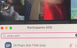 Nữ sinh học online cứ vài phút lại bị gọi tên không hiểu vì sao, đến lúc zoom kĩ camera mới biết sự thật tức cười