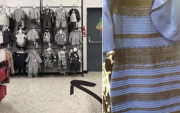 5 tấm hình từng khiến cư dân mạng ''phát lú'' cực mạnh giống như chiếc váy xanh đen - vàng trắng năm nào
