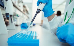 Phát hiện ra lý do người bệnh đái tháo đường dễ mắc COVID-19 nghiêm trọng