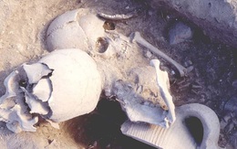 Hộp sọ chiến binh thế kỷ 14 được tìm thấy với sợi chỉ vàng bên trong, các chuyên gia thốt lên: Kỹ thuật rất cao siêu!