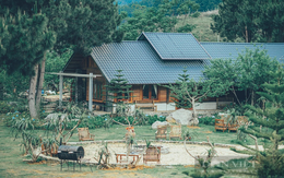 Bỏ ra hàng chục tỷ để làm homestay, sau 2 năm nhà đầu tư này cay đắng cắt lỗ 32% vẫn không có người mua