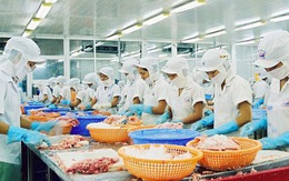 368 ca nhiễm Covid-19 liên quan đến công ty trong 4 ngày, Giám đốc: 'Đang điều tra nguồn lây'