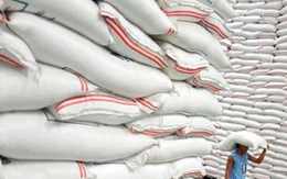 Giá gạo Thái Lan xuống mức thấp nhất trong hơn 4 năm