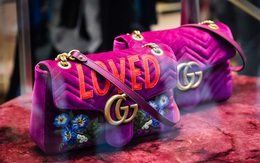 Nhân viên Gucci dụng chiêu "dùng ly miêu đánh tráo thái tử", chiếm đoạt gần 9.000 USD