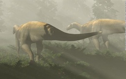 Hóa thạch khủng long được tìm thấy 50 năm trước không phải của loài ăn thịt như nhận định trước đây