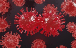 Biến thể xuất hiện ‘như nấm sau mưa’, liệu COVID-19 còn kéo dài bao lâu?