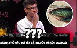 Thành phố nào ở Việt Nam mà tên gọi bắt nguồn từ một loài cá?