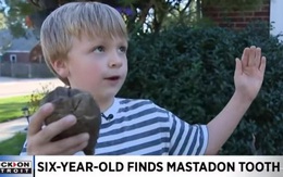 Cậu bé 6 tuổi tìm thấy 'răng khủng long' và sự thật bất ngờ