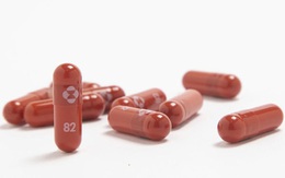 Covid-19: Báo cáo mới về hiệu quả của thuốc Molnupiravir và nguy cơ tiềm ẩn