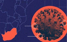 WHO nói gì về biến thể Covid-19 mới sau cuộc họp khẩn bất thường vừa diễn ra?