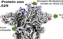 Người mắc COVID-19 và đã hồi phục có thể dễ bị tái nhiễm “siêu” biến thể Omicron