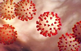 Tình trạng sức khỏe sẽ ra sao khi bị tái mắc COVID-19?