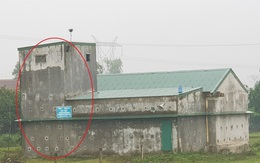 Kỹ sư trẻ bỏ phố về quê xây nhà nuôi yến thu tiền tỷ