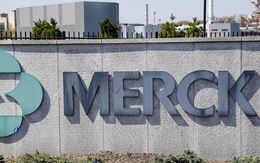 Thuốc trị Covid-19 dạng viên của Merck qua cửa ải đầu tiên