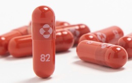 Thuốc viên điều trị COVID-19 sẽ sớm khẳng định vai trò trong cuộc chiến với đại dịch