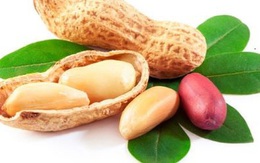 Hạt lạc, hạt điều - loại nào tốt cho sức khỏe hơn?