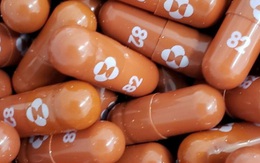 Đặt lên bàn cân 2 loại thuốc uống chữa Covid-19 của Pfizer và Merck