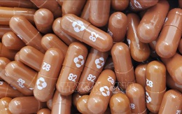 Hội đồng chuyên gia FDA khuyến nghị sử dụng thuốc Molnupiravir của Merck trong điều trị COVID-19