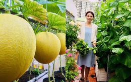 Chỉ với 5 triệu đồng, mẹ đảm Sài Gòn phủ kín sân thượng 50m2 các loại hoa thơm, trái ngọt